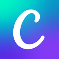 Canva: создать логотип, текст на фото,видео коллаж