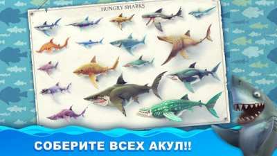 hungry shark world мод меню. Смотреть фото hungry shark world мод меню. Смотреть картинку hungry shark world мод меню. Картинка про hungry shark world мод меню. Фото hungry shark world мод меню