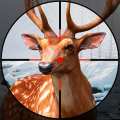 Hunting World: Deer Hunter Sniper Shooting (Мод, Много денег)