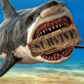 Ocean Survival: Симулятор выживание на плоту (Мод, Бесплатные покупки)