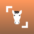 Horse Scanner – Идентификация породы лошадей (Мод, Unlocked)