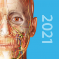 Human Anatomy Atlas 2021: Complete 3D Human Body (Мод, Unlocked)