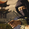 Ninja assassin's Fighter (Мод, Много денег)