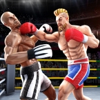 Игра Tag Team Boxing (Мод, Unlocked)