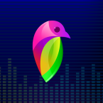 Lovi - Video Editor & Maker (Мод, Unlocked)