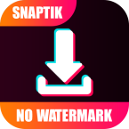 SnapTik - TT Video Downloader (Мод, Unlocked)