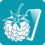 RaspController (Мод, Unlocked)