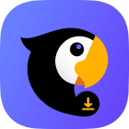 Teradownloader.com & Player (Мод, Unlocked)