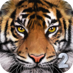 Ultimate Tiger Simulator 2 (Мод, Много очков)