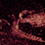 Iron Lung (Полная версия)