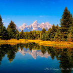 Water Reflection Photo Effects